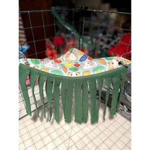 Guinea Pigs With Glasses Guinea Pigs With Glasses